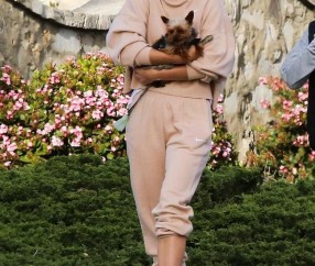 Kaiyun-莎拉波娃赛事官方发布赛事规则更新新规，日本队争议不断！的简单介绍