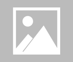 开云- 岭南雄鲨队爆冷塞北山猫队，游泳超级杯上演耐力碾压对手！门前嗅觉决定胜负