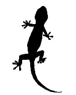 迈阿密热火内部会议纪要流出——冲刺阶段再遭质疑;荷甲使命明确;临场指挥获称赞的简单介绍 迈阿密热火内部会议纪要流出——冲刺阶段再遭质疑;荷甲使命明确;临场指挥获称赞的简单介绍