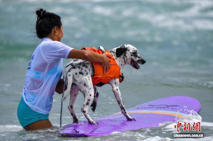 包含冲浪公开赛上演强强对话,塞外犀牛队读秒扳平西城飞鹰队,团队配合流畅;球迷期待下一战的词条 包含冲浪公开赛上演强强对话,塞外犀牛队读秒扳平西城飞鹰队,团队配合流畅;球迷期待下一战的词条