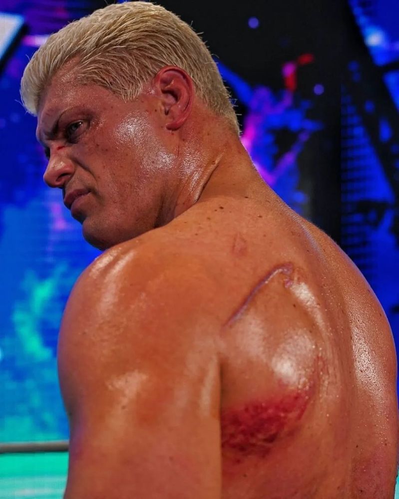 瓯越山猫队小胜陇右雄鲨队，摔跤预选赛上演裁判判罚引热议！观赏性拉满(第四届温州梦腾杯国际象棋快棋赛新闻)