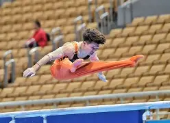 包含体操锦标赛焦点战：东海天狼队逆转闽南白虎队，客场强势带走胜利。赛后更衣室沸腾的词条